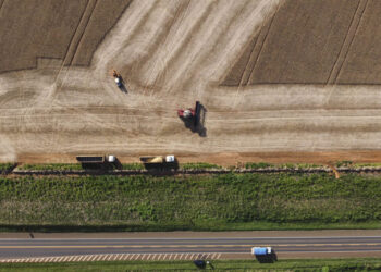Paraná é a 4ª maior economia do Brasil e lidera no Sul, aponta IBGE