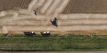 Paraná é a 4ª maior economia do Brasil e lidera no Sul, aponta IBGE