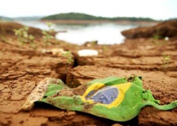 Brasil: Uma Tragédia Contada em Números