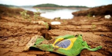 Brasil: Uma Tragédia Contada em Números