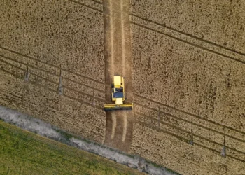 Paraná projeta safra recorde de grãos com crescimento de 20,5% em 2025