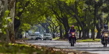 Foz do Iguaçu suspende Domingo na Rua por questões de segurança