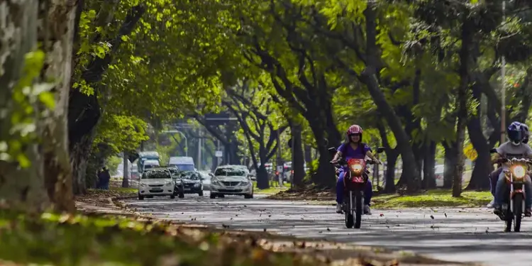 Foto: Reprodução/Assessoria.