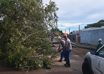 Temporal com granizo causa estragos em Foz do Iguaçu