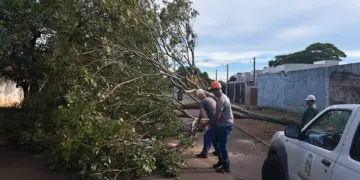 Temporal com granizo causa estragos em Foz do Iguaçu