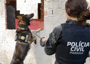 PCPR abre inscrições para o 1° Curso de Operações Policiais com Cães