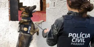PCPR abre inscrições para o 1° Curso de Operações Policiais com Cães