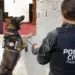 PCPR abre inscrições para o 1° Curso de Operações Policiais com Cães