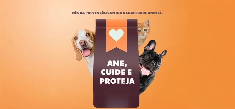 Foto: Reprodução.