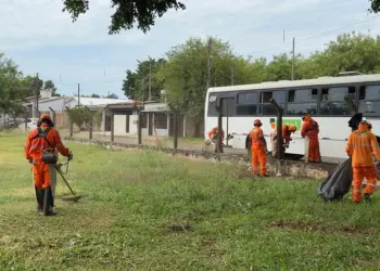 Foz do Iguaçu registra queda de 96,8% nos casos de dengue no primeiro trimestre de 2025