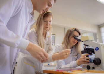 UEM e Unioeste têm nota máxima e Paraná confirma 3° melhor ensino superior do Brasil