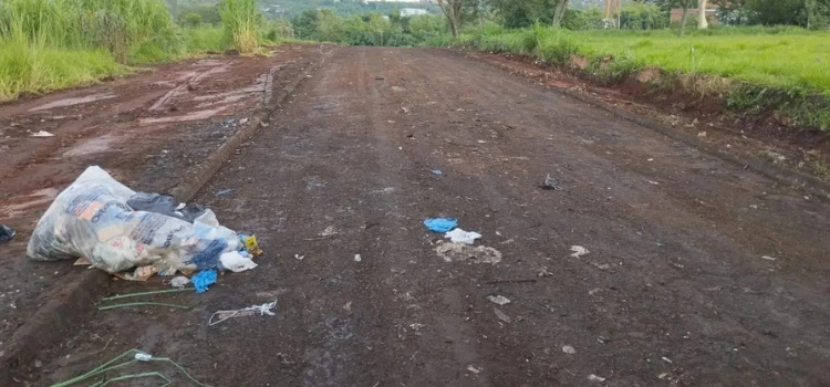 Foto: Reprodução.