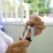 Vacina contra a gripe estará disponível para a população a partir deste sábado (10)