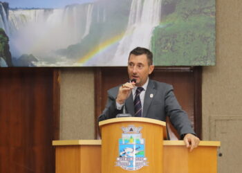 Câmara recebe projeto que proíbe uso de Bebês Reborn em atendimentos