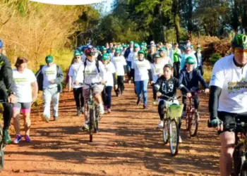 Festa do Colono celebra tradições rurais neste domingo