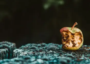 O peso da decepção