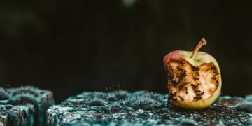 O peso da decepção