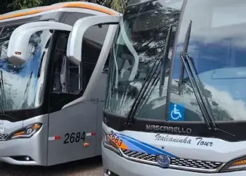 Tratamento Fora de Domicílio ganha novos ônibus e mais viagens