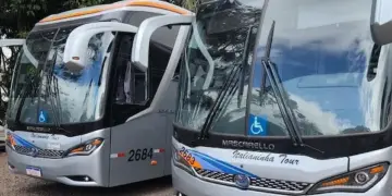 Tratamento Fora de Domicílio ganha novos ônibus e mais viagens