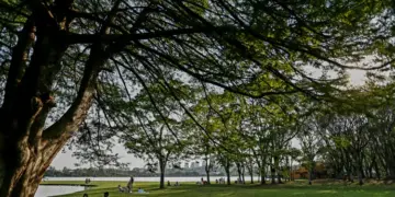 Simepar prevê setembro com calor e retorno das chuvas ao Paraná