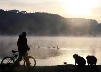 Frente fria traz chuva e temperaturas negativas para o Paraná