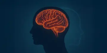 Como a neurociência influencia as decisões no ambiente jurídico