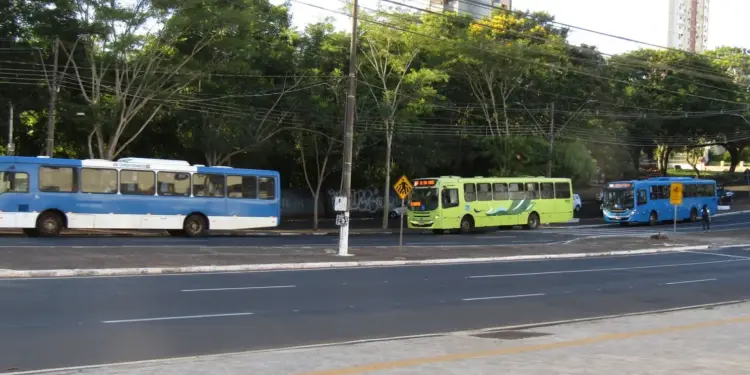 Foto: Luiz Henrique Dias.