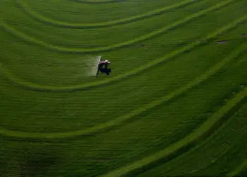 PIB do Paraná cresce 3,8% no primeiro semestre e supera média nacional