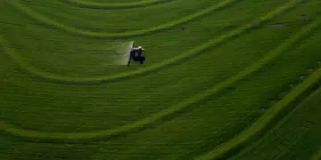 PIB do Paraná cresce 3,8% no primeiro semestre e supera média nacional