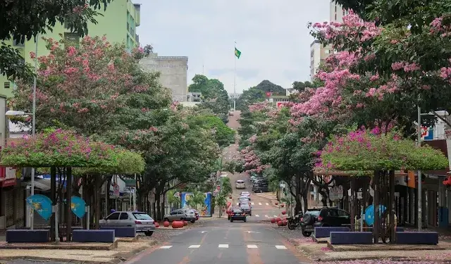 Foto: Reprodução.