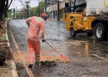 Vendaval com chuvas intensas causa quedas de árvores e alagamento em Foz do Iguaçu