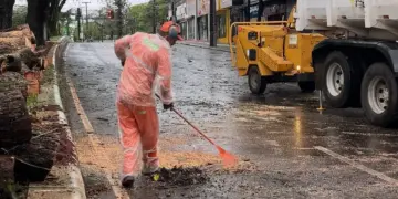 Vendaval com chuvas intensas causa quedas de árvores e alagamento em Foz do Iguaçu