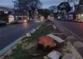 O erro de cortar tantas árvores na Avenida JK