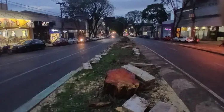 Foto: Reprodução.