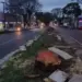 O erro de cortar tantas árvores na Avenida JK