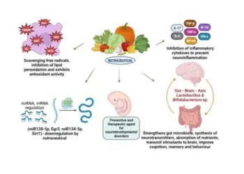 Mecanismo de ação dos Nutracêuticos no Autismo.