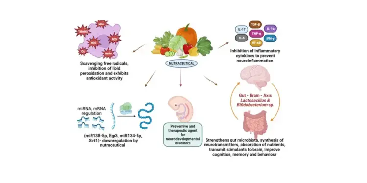 Mecanismo de ação dos Nutracêuticos no Autismo.