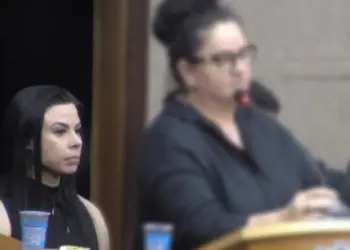 O mel de Aline: a doçura que desafia a lei