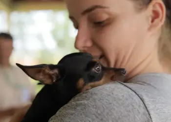 Prefeitura realiza o primeiro “Pet Day” neste sábado em Foz do Iguaçu