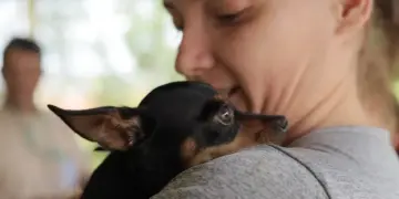 Prefeitura realiza o primeiro “Pet Day” neste sábado em Foz do Iguaçu