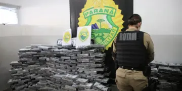 Paraná lidera apreensão de maconha no Brasil em 2025