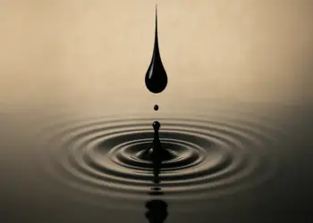 Quando a escola abre os olhos do mundo