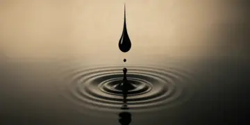 Quando a escola abre os olhos do mundo