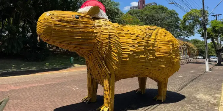 Foto: Bruno Soares/Plural.