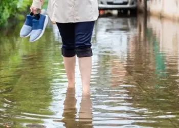 Leptospirose acende alerta no Paraná com chegada do período chuvoso