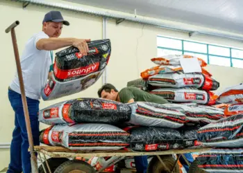 Prefeitura de Foz do Iguaçu garante ração trimestral a protetores de cães e gatos cadastrados