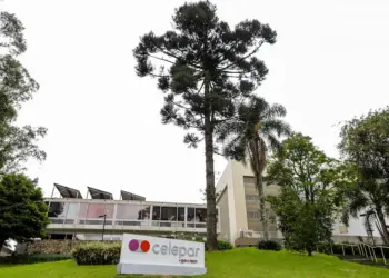 TCE-PR autoriza retomada do processo de desestatização da Celepar