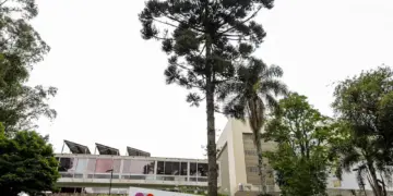 TCE-PR autoriza retomada do processo de desestatização da Celepar