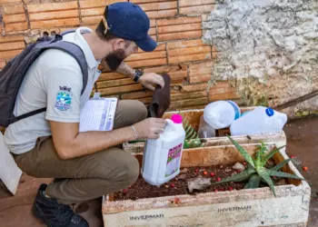 Foz do Iguaçu registra queda histórica de 93% nos casos de dengue em 2025