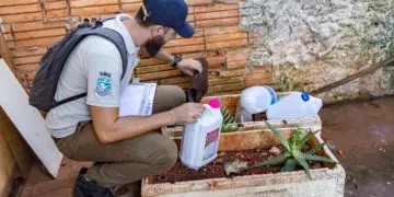 Foz do Iguaçu registra queda histórica de 93% nos casos de dengue em 2025